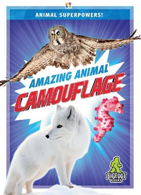Amazing Animal Camouflage book
