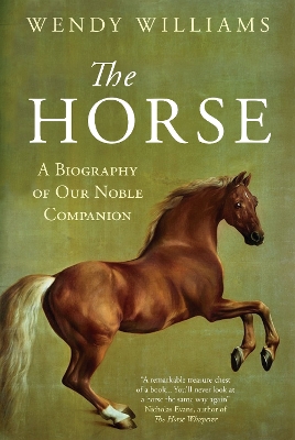 The Horse by Wendy Williams