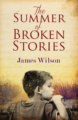 The Summer of Broken Stories book