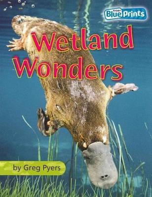 Blueprints Middle Primary B Unit 4: Wetland Wonders book