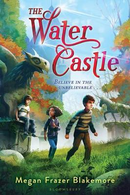 The Water Castle book
