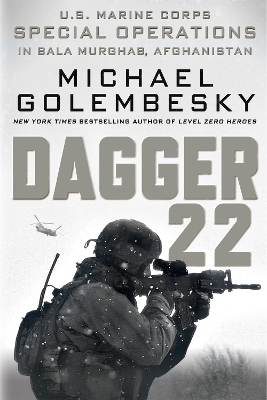 Dagger 22 book