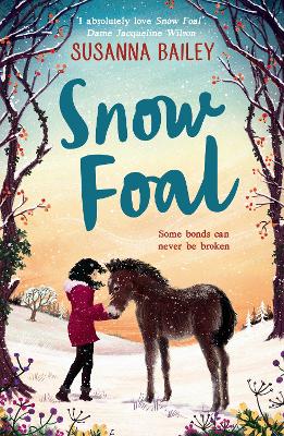 Snow Foal book