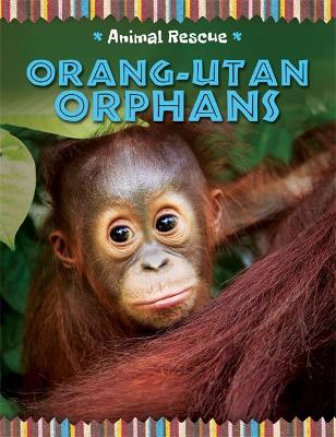 Animal Rescue: Orang-utan Orphans book