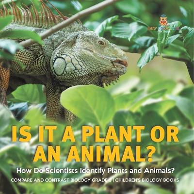 Is It a Plant or an Animal? How Do Scientists Identify Plants and Animals? Compare and Contrast Biology Grade 3 Children's Biology Books by Baby Professor