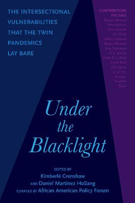 Under the Blacklight: The Intersectional Vulnerabilities that the Twin Pandemics Lay Bare book