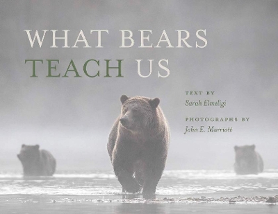What Bears Teach Us by Sarah Elmeligi
