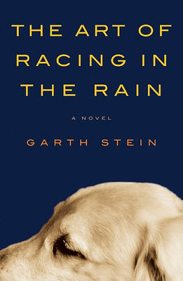 Art of Racing in the Rain by Garth Stein
