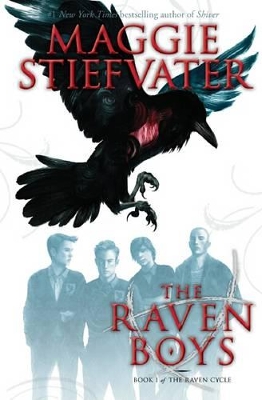 Raven Cycle: #1 Raven Boys book