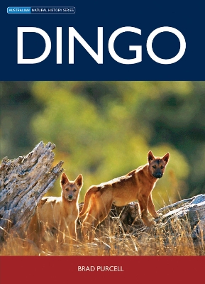 Dingo book