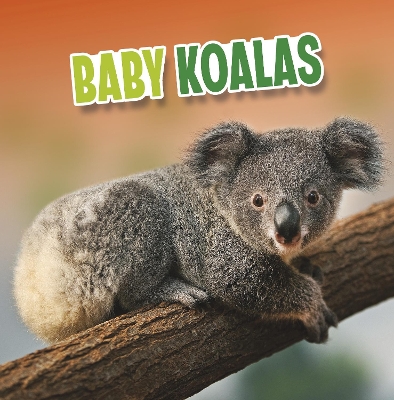 Baby Koalas by Martha E H Rustad