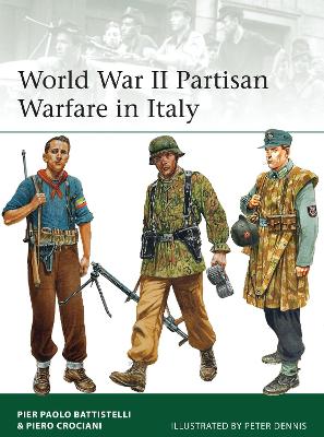 World War II Partisan Warfare in Italy book