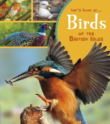 Birds of the British Isles by Lucy Beevor