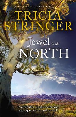 Jewel In The North book