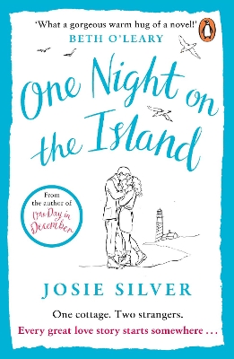 One Night on the Island book