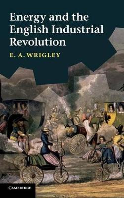 Energy and the English Industrial Revolution book