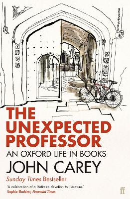 Unexpected Professor book
