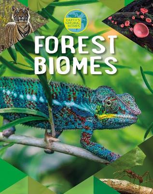 Forest Biomes by Louise A Spilsbury
