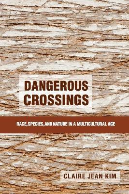 Dangerous Crossings book