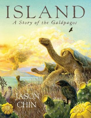 Island: A Story of the Galapagos by Jason Chin