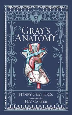 Gray's Anatomy (Barnes & Noble Collectible Classics: Omnibus Edition) book