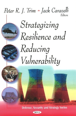 Strategizing Resilence & Reducing Vulnerability book
