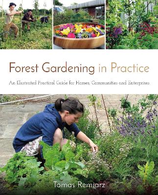Forest Gardening in Practice: An Illustrated Practical Guide for Homes, Communities and Enterprises book