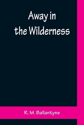 Away in the Wilderness book