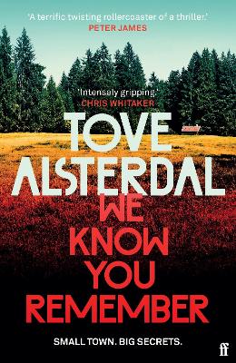 We Know You Remember: The No. 1 International Bestseller by Tove Alsterdal