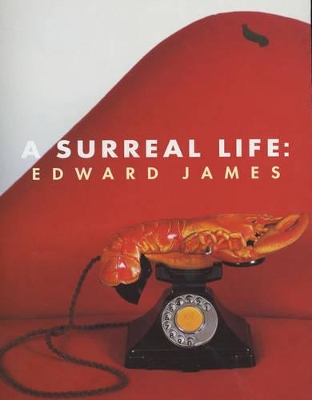 Surreal Life book