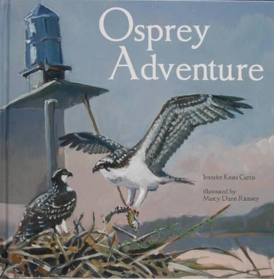 Osprey Adventure by Jennifer Keats Curtis