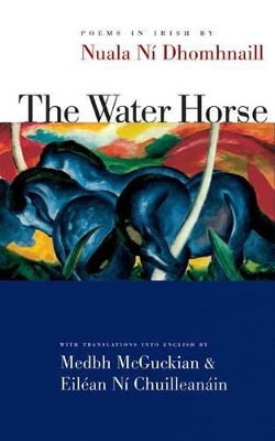 Water Horse book