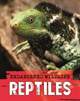 Endangered Wildlife: Rescuing Reptiles book