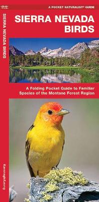 Sierra Nevada Birds: A Folding Pocket Guide to Familiar Species of the Montane Forest Region book