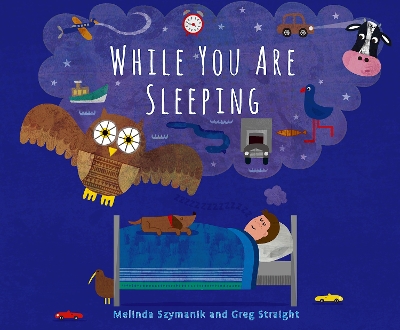 While You Are Sleeping book