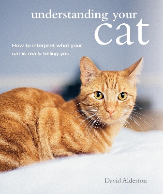 Understanding Your Cat book