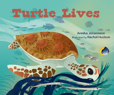 Turtle Lives book