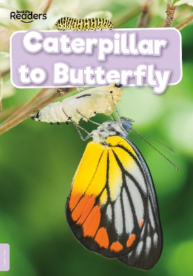 Caterpillar to Butterfly by William Anthony