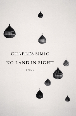 No Land in Sight: Poems book