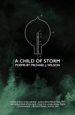 Child of Storm book