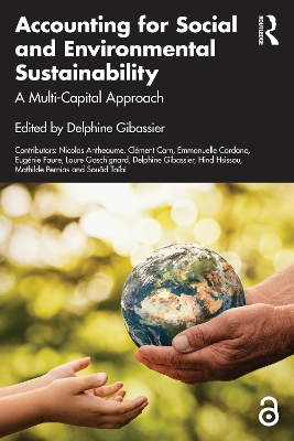 Accounting for Social and Environmental Sustainability: A Multi-Capital Approach by Delphine Gibassier