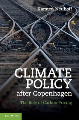 Climate Policy after Copenhagen by Karsten Neuhoff