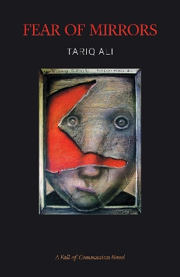 Fear of Mirrors book