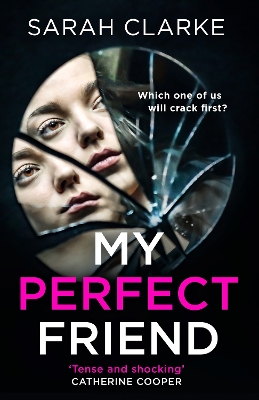 My Perfect Friend book