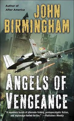 Angels of Vengeance book