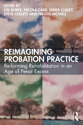 Reimagining Probation Practice: Re-forming Rehabilitation in an Age of Penal Excess book