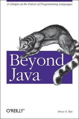 Beyond Java book