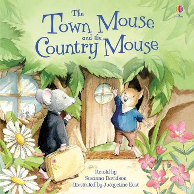 Town Mouse & the Country Mouse book