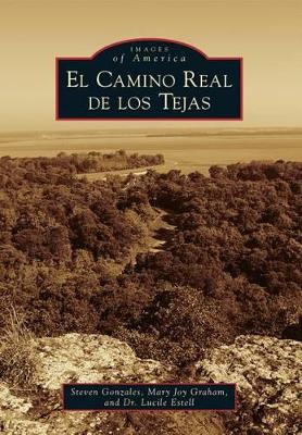 Camino Real de los Tejas by Steven Gonzales