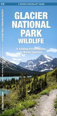 Glacier National Park Wildlife book